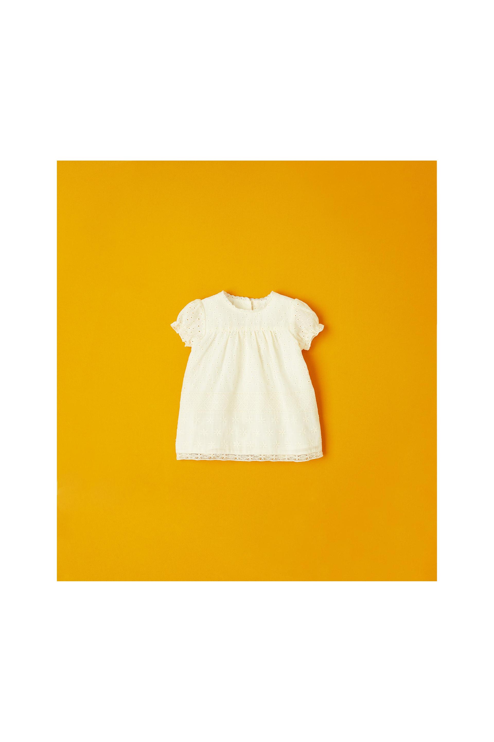 Image 1 of EMBROIDERED DRESS from Zara