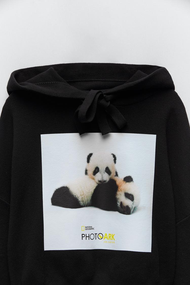 PHOTO ARK © NATIONAL GEOGRAPHIC KNIT SWEATSHIRT | ZARA Tunisie / Tunisia