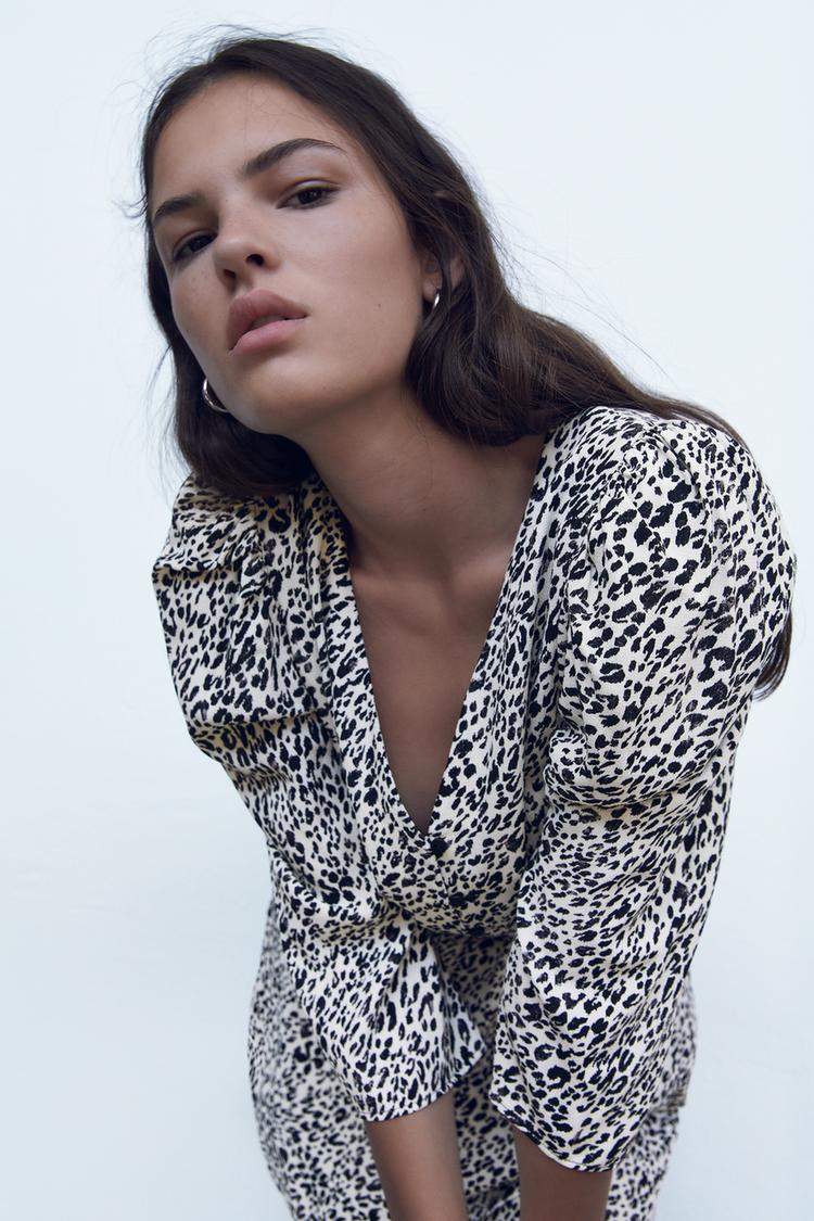 Animal Print Dress Zara United States