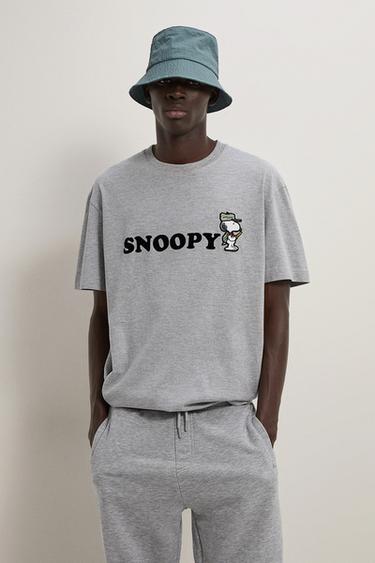 メンズtシャツ Zara 日本