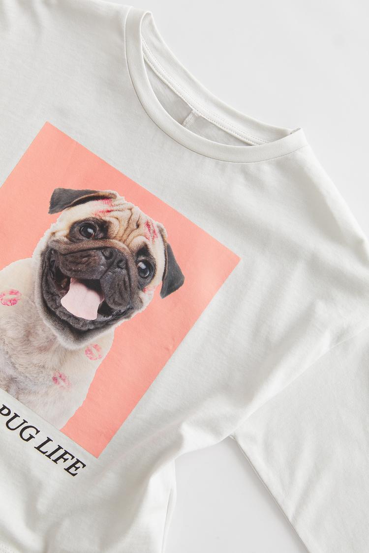 パグライフtシャツ Zara Japan 日本