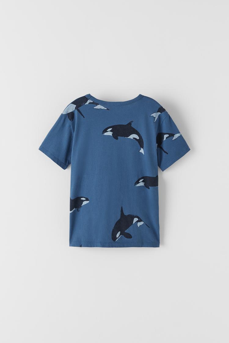 シャチtシャツ Zara Japan 日本