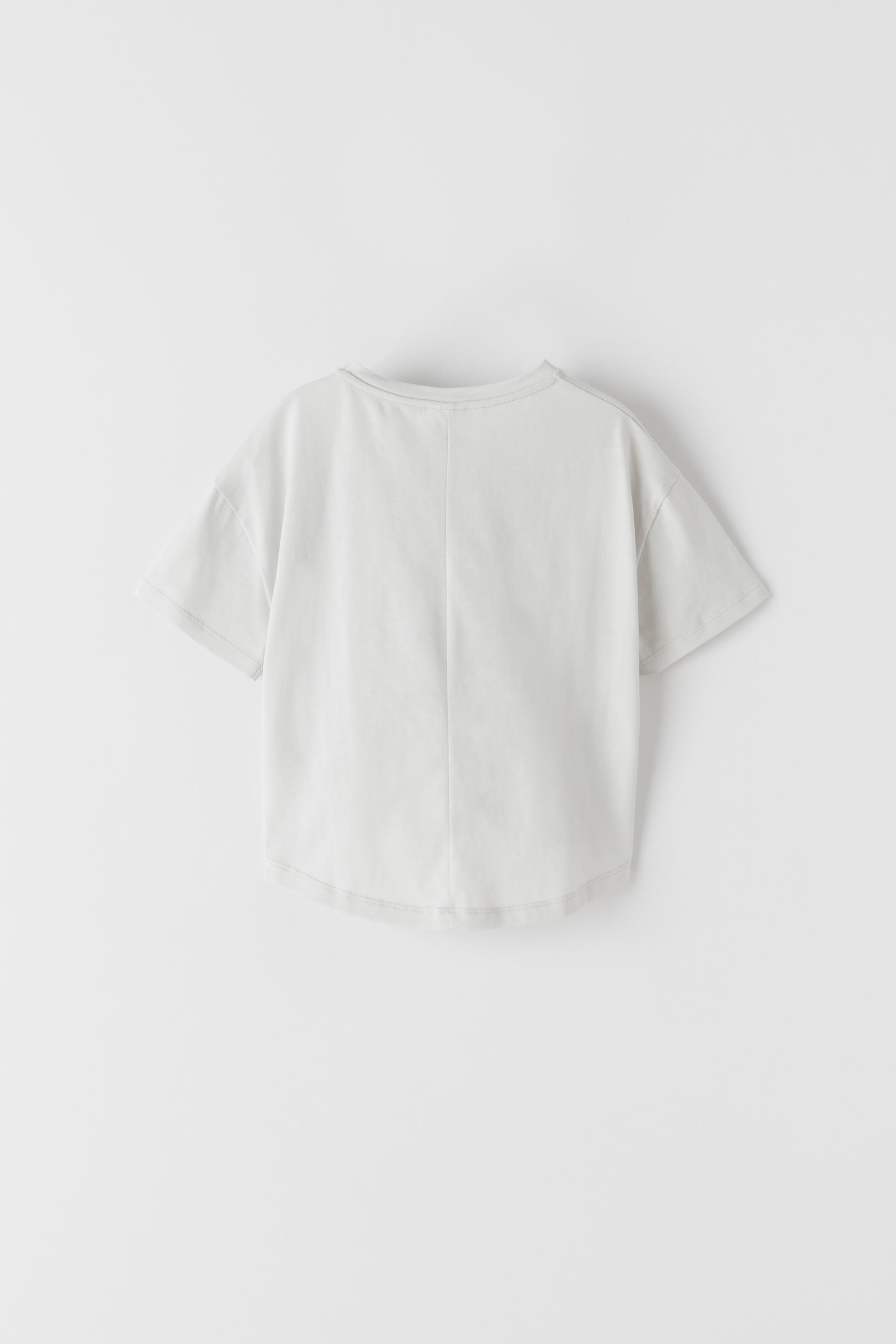 犬プリントtシャツ Zara Japan 日本