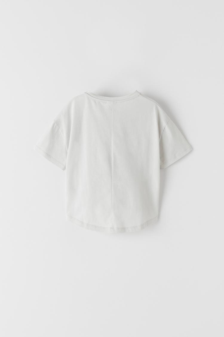 犬プリントtシャツ Zara Japan 日本