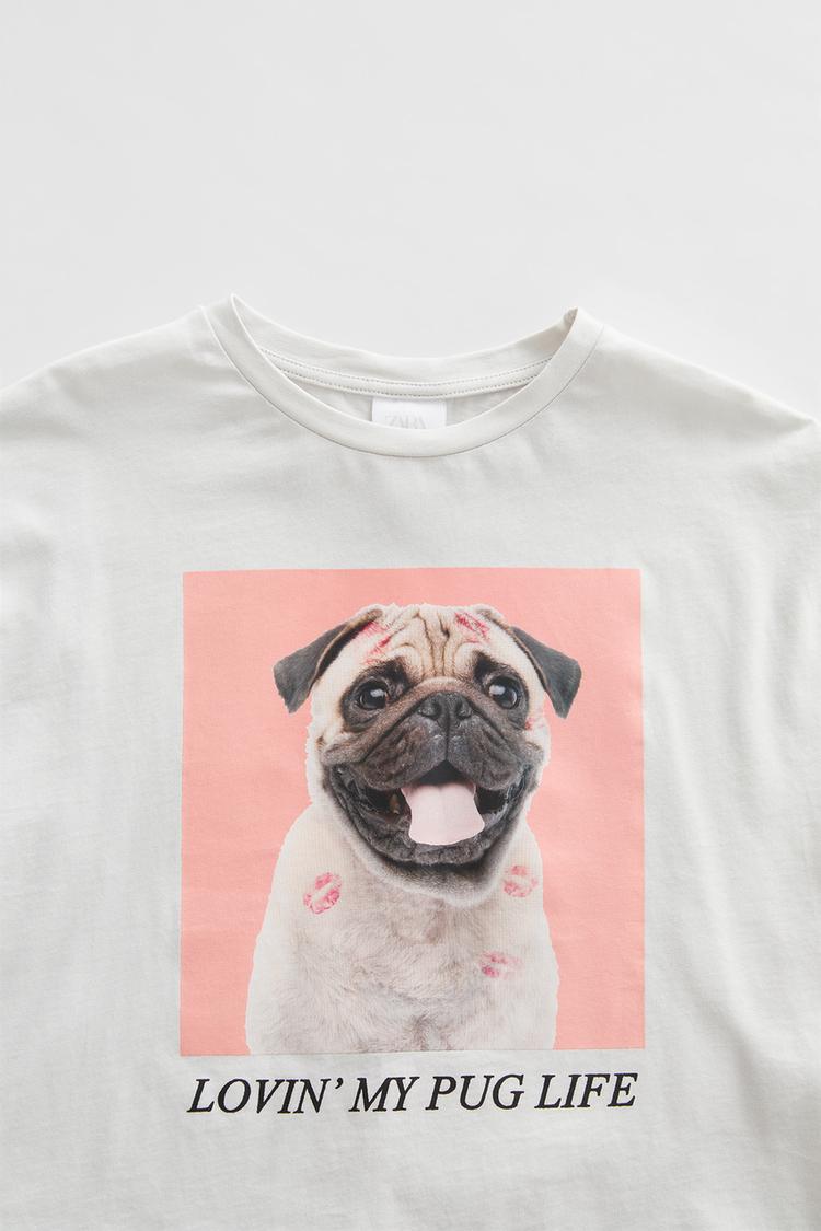 犬プリントtシャツ Zara Japan 日本