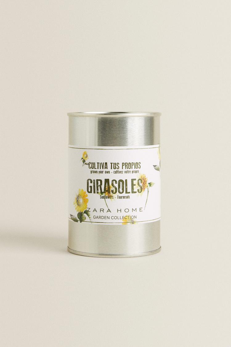 Sunflower Seeds Zara United Kingdom