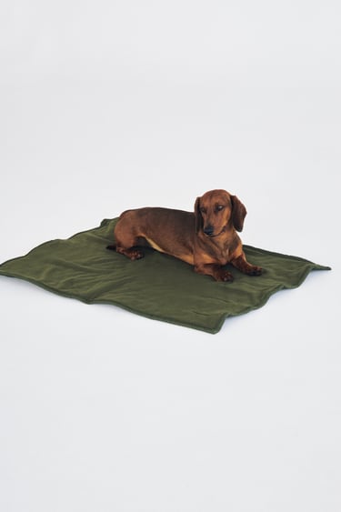 ROLL-UP PET COLLECTION BED FOR PETS