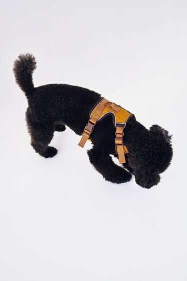 PET COLLECTION QUILTED HARNESS