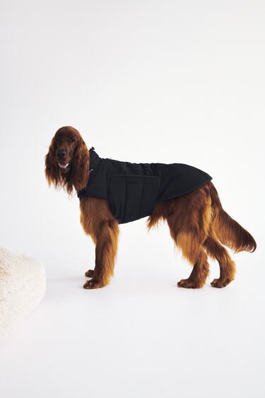 QUILTED PET COLLECTION JACKET