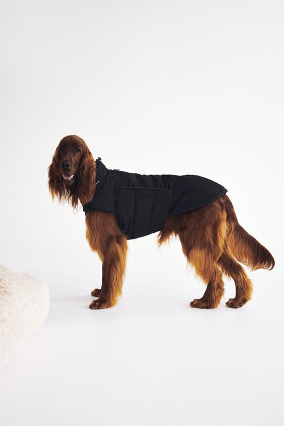 Zara PET COLLECTION QUILTED JACKET