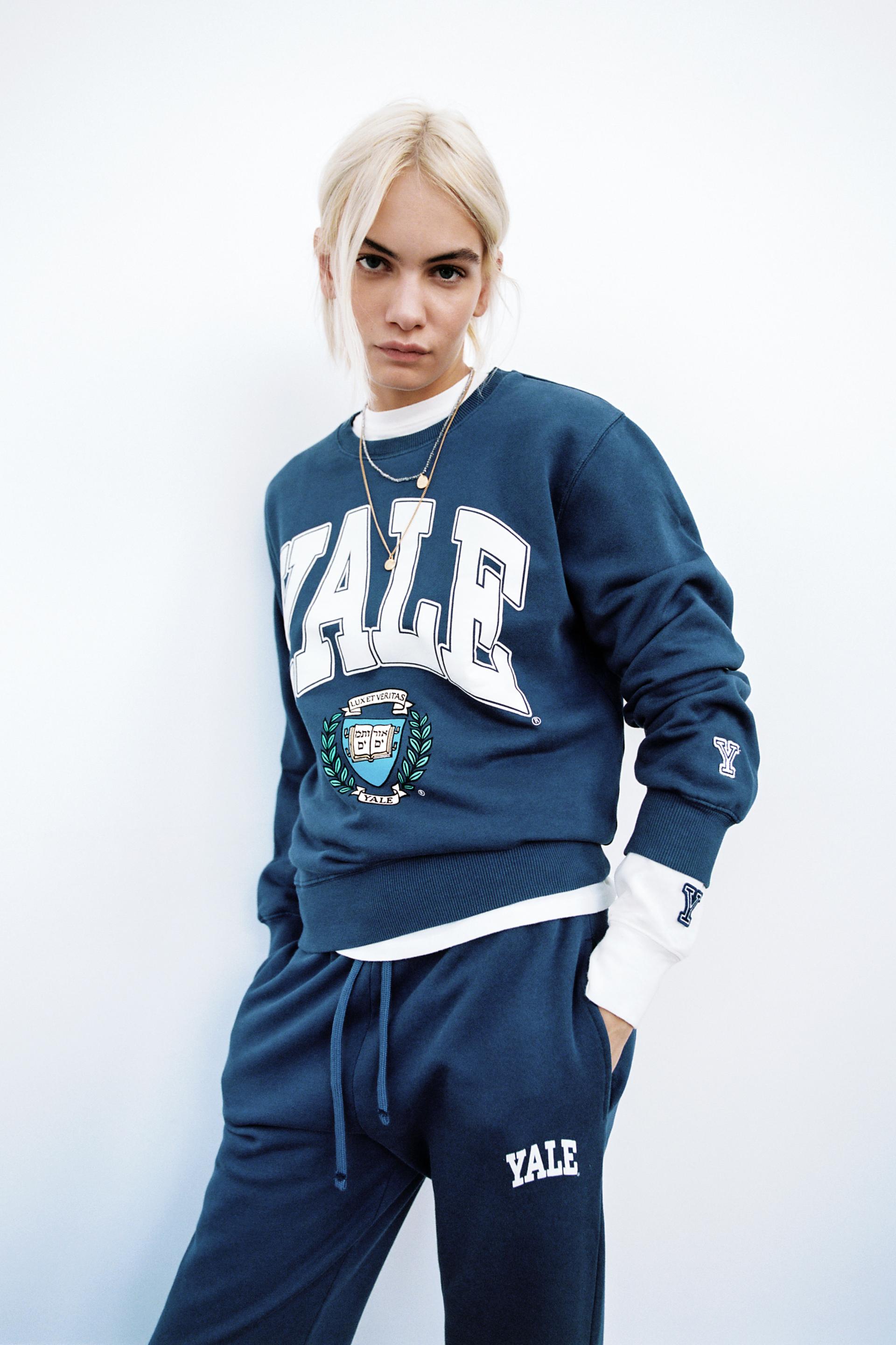 Yale zara sweater Clearance