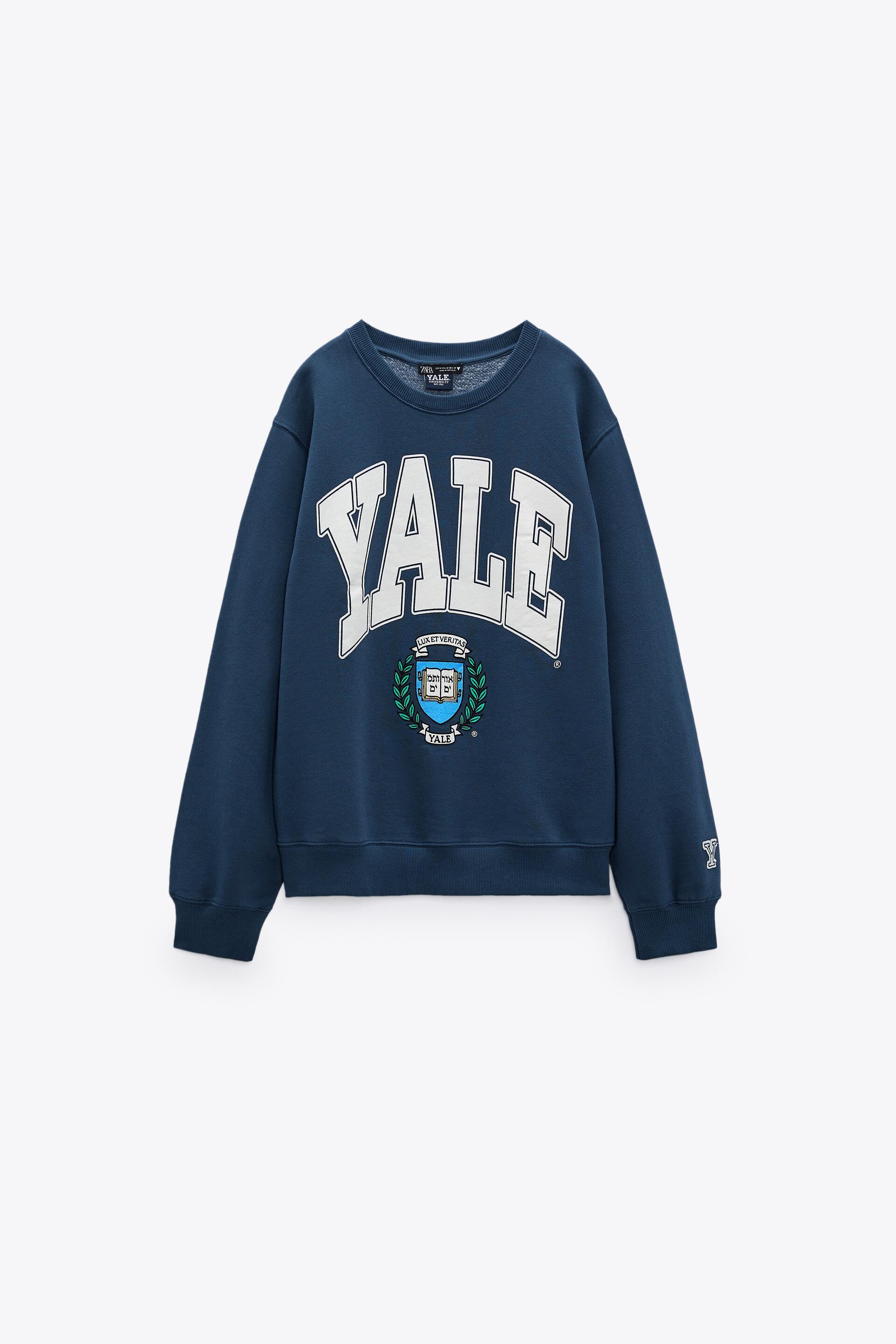 Yale zara sweater Clearance