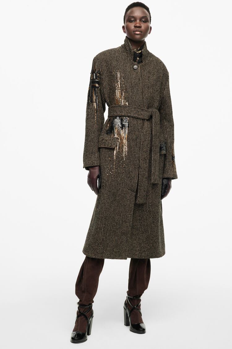 Image 0 of EMBROIDERED COAT - LIMITED EDITION from Zara
