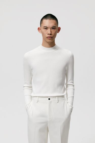 Image 0 of RIBBED HIGH NECK SWEATER from Zara
