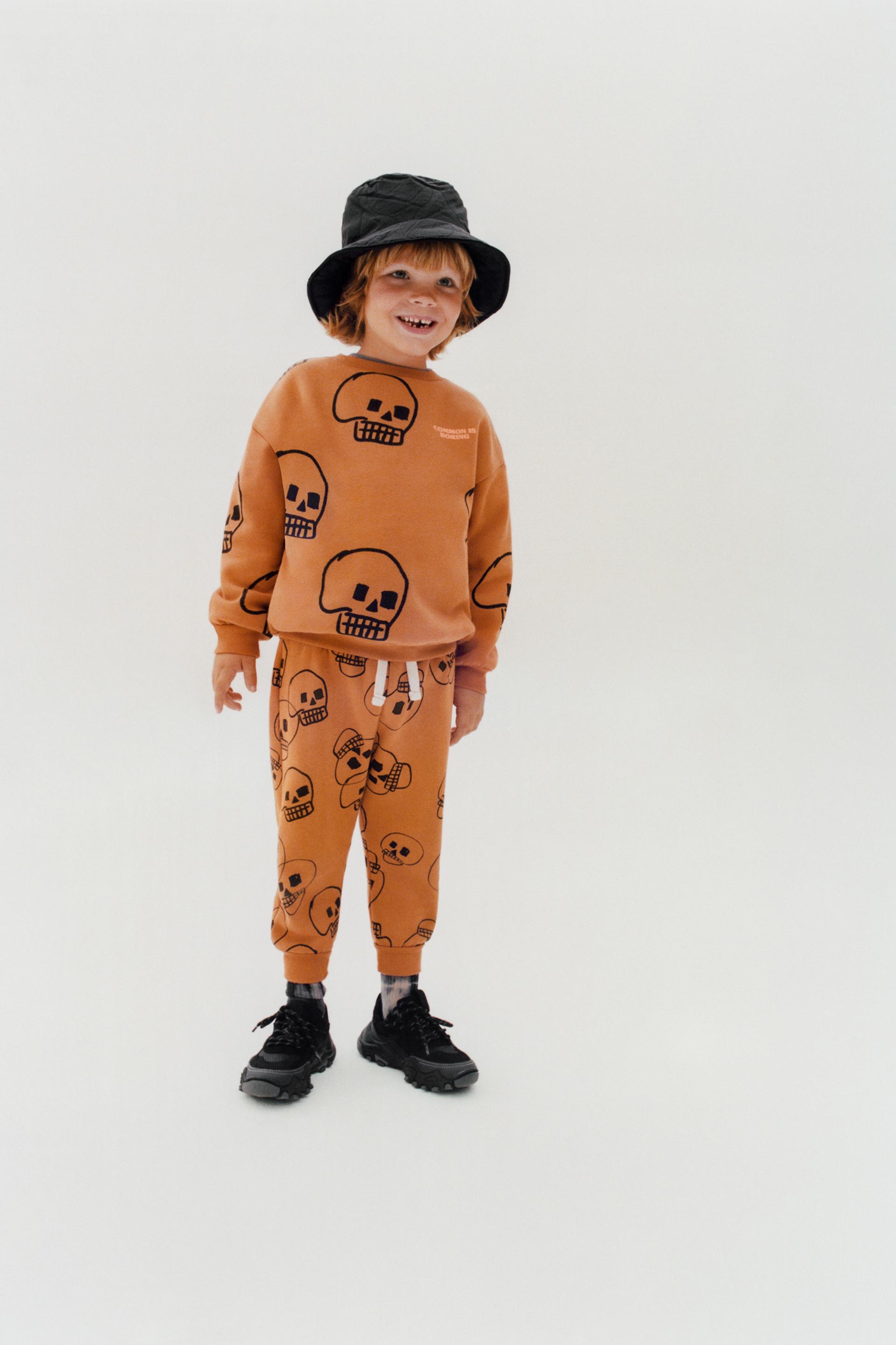 Conjunto de calaveras