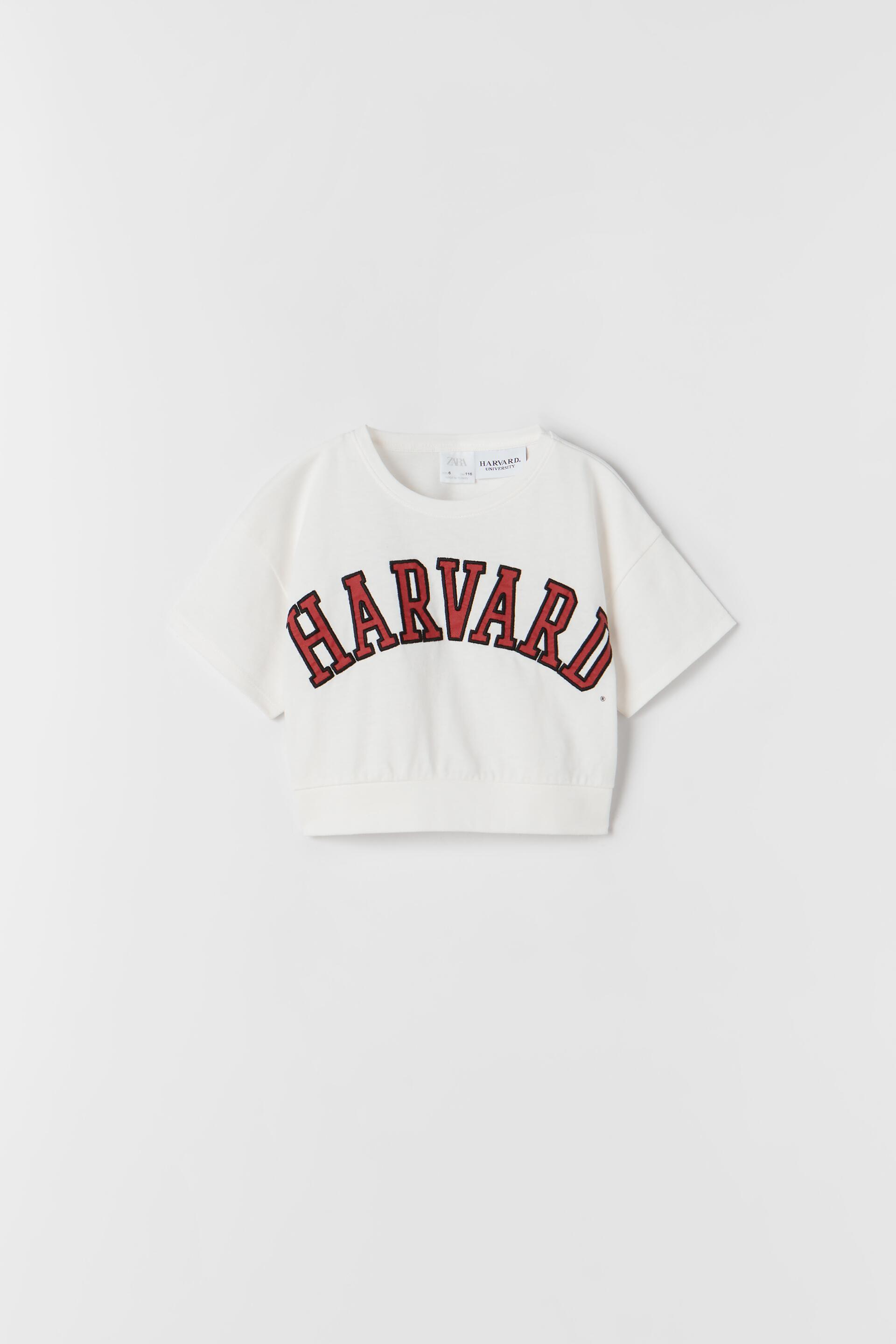UNIVERSITY T-SHIRT - Ecru | ZARA Australia