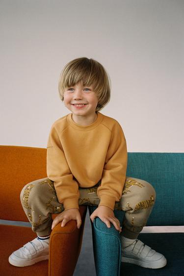 Sweats Pour Bebe Garcon Zara France Sweats Pour Bebe Garcon Zara France