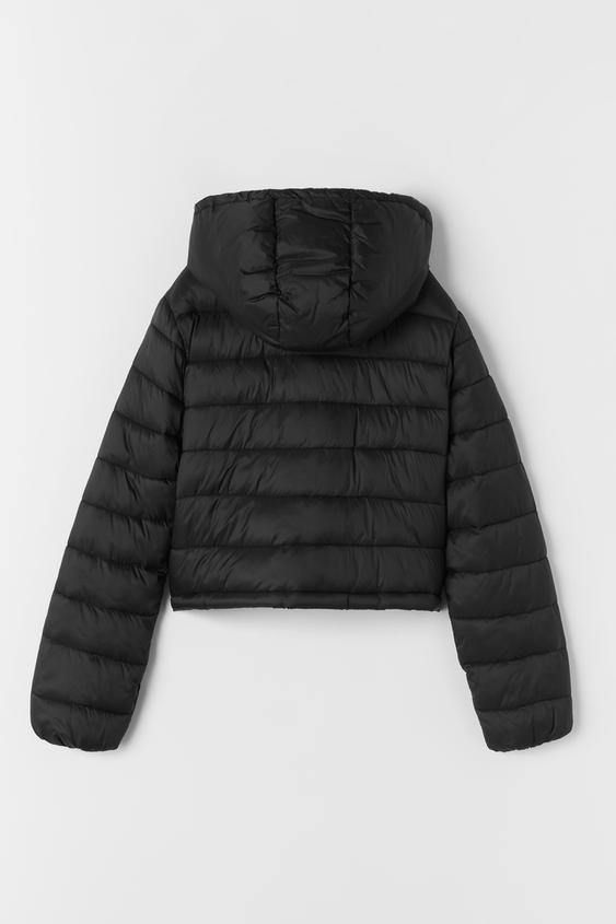 CAZADORA ACOLCHADA LIGERA - Plomo | ZARA España