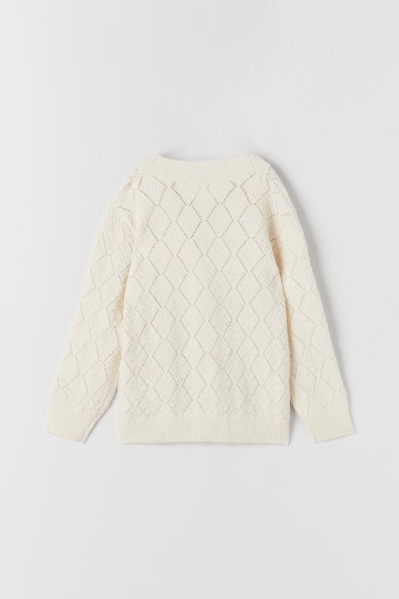 CHAQUETA PUNTO JACQUARD ANIMAL - Negro / Crudo | ZARA España