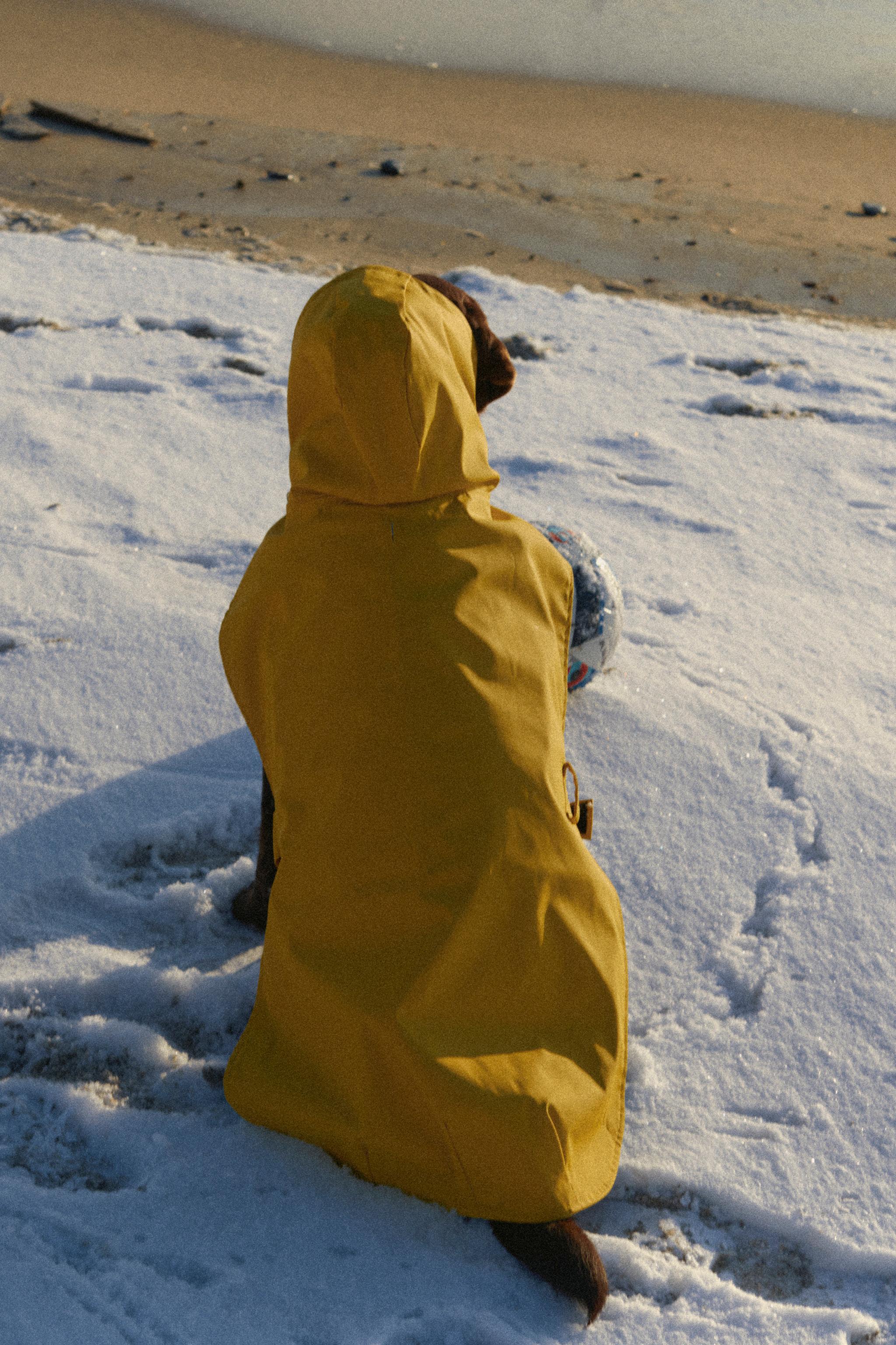 PET COLLECTION RAINCOAT