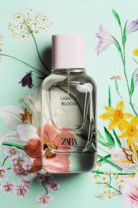 フレグランス レディース Zara 日本 フレグランス レディース Zara 日本