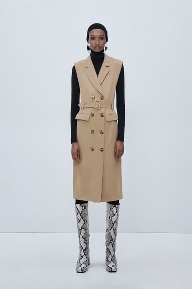 Image 0 of BELTED TRENCH DRESS from Zara