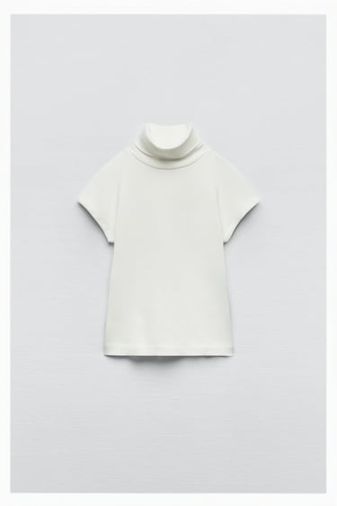 Image 0 of RIBBED TURTLENECK TOP from Zara