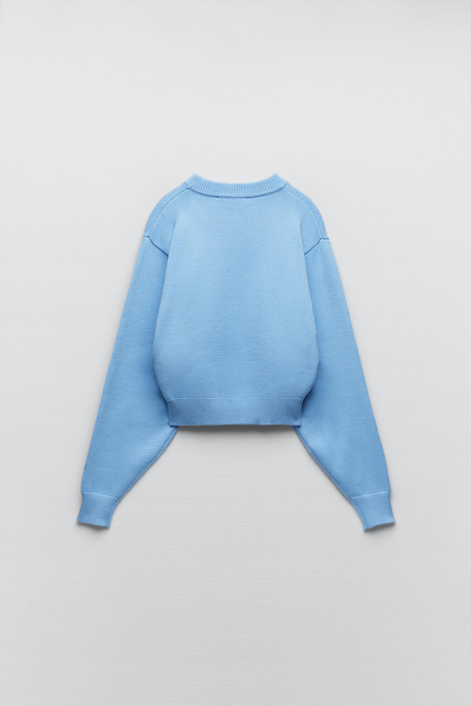 Hotel Kalinga Daily Paper Hoodie Lichtblauw Dames Wollen Trui