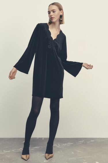 Image 0 of EMBROIDERED VELVET DRESS from Zara