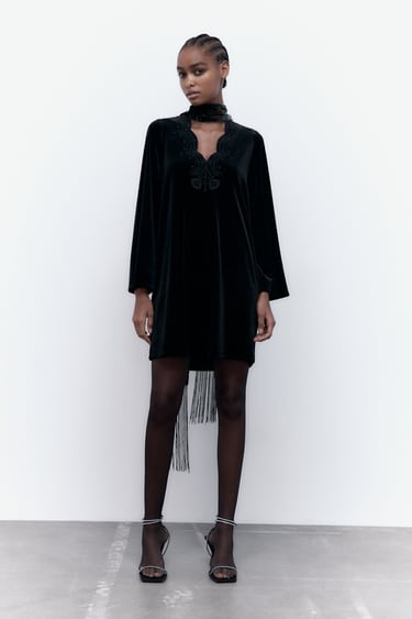 Image 0 of EMBROIDERED VELVET DRESS from Zara