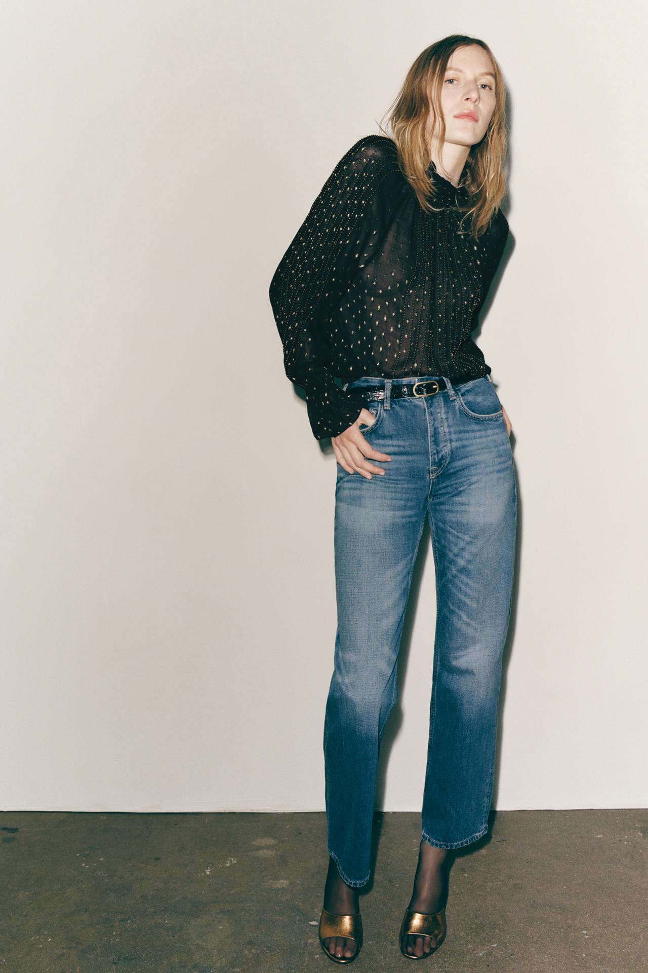 Zara sheer black Blouse featuring a high neck and long sleeves with ruffles. Metallic thread appliqué detail. Buttoned opening at the back.