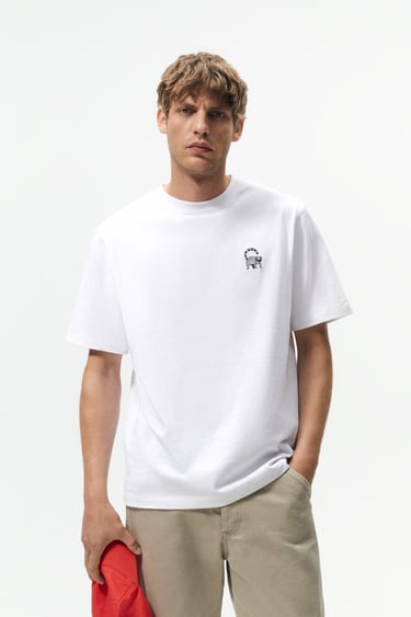 Image 0 of EMBROIDERED LEMUR T-SHIRT from Zara