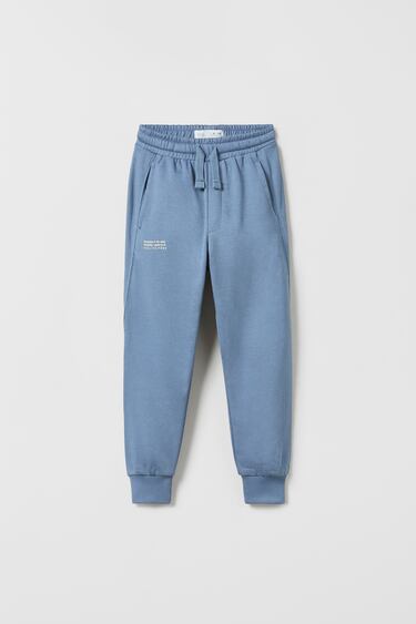 Image 0 of SEAMED LABEL PLUSH PANTS from Zara