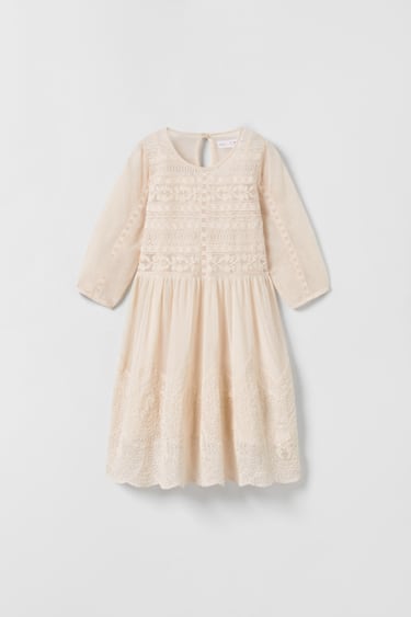 Image 0 of EMBROIDERED TULLE DRESS from Zara