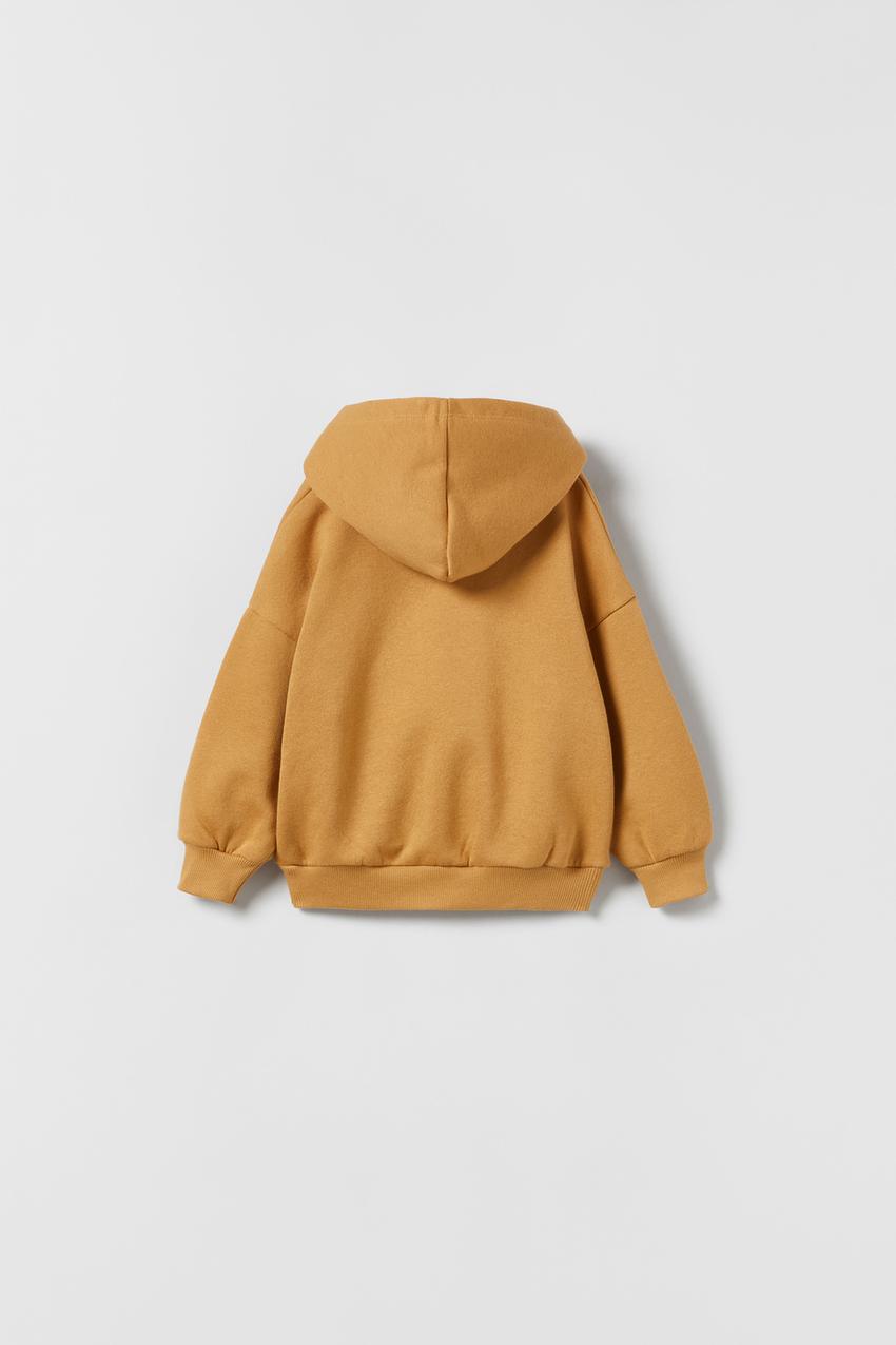 brown zara sweatshirt