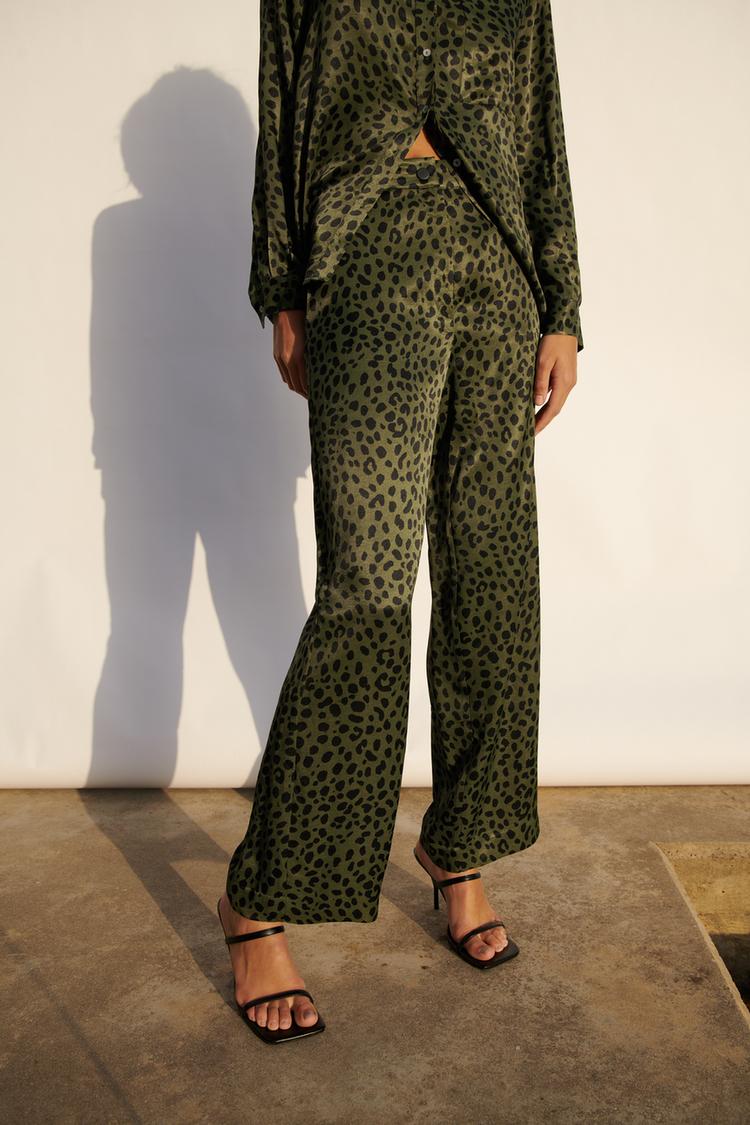 Εικόνα 1 του ΡΙΧΤΟ ΠΑΝΤΕΛΟΝΙ ANIMAL PRINT από Zara