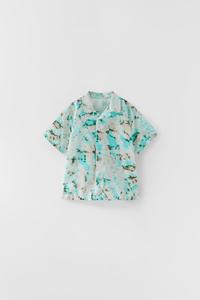 CAMISA OSOS PANDAS - Verde | ZARA España