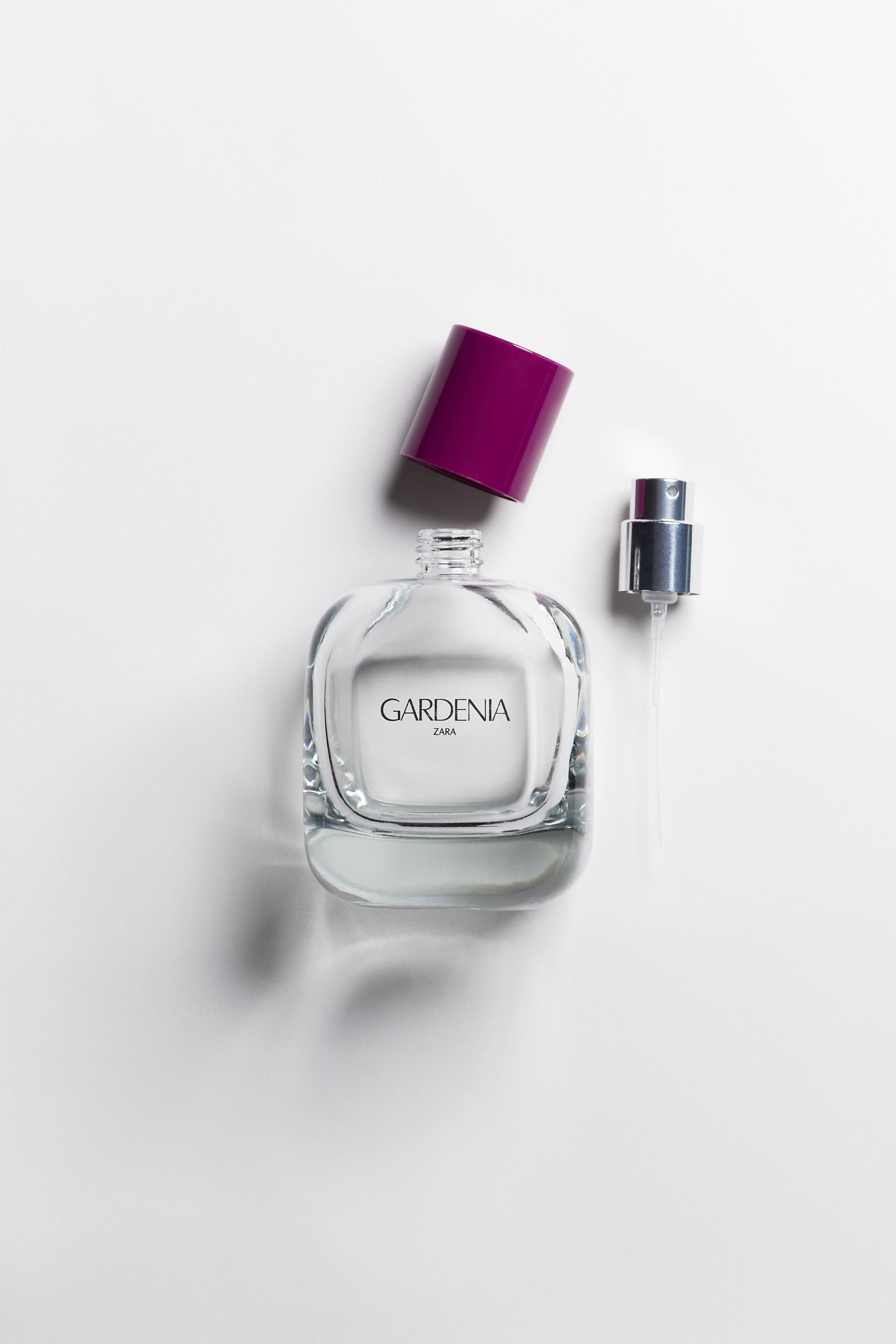 gardenia parfum zara