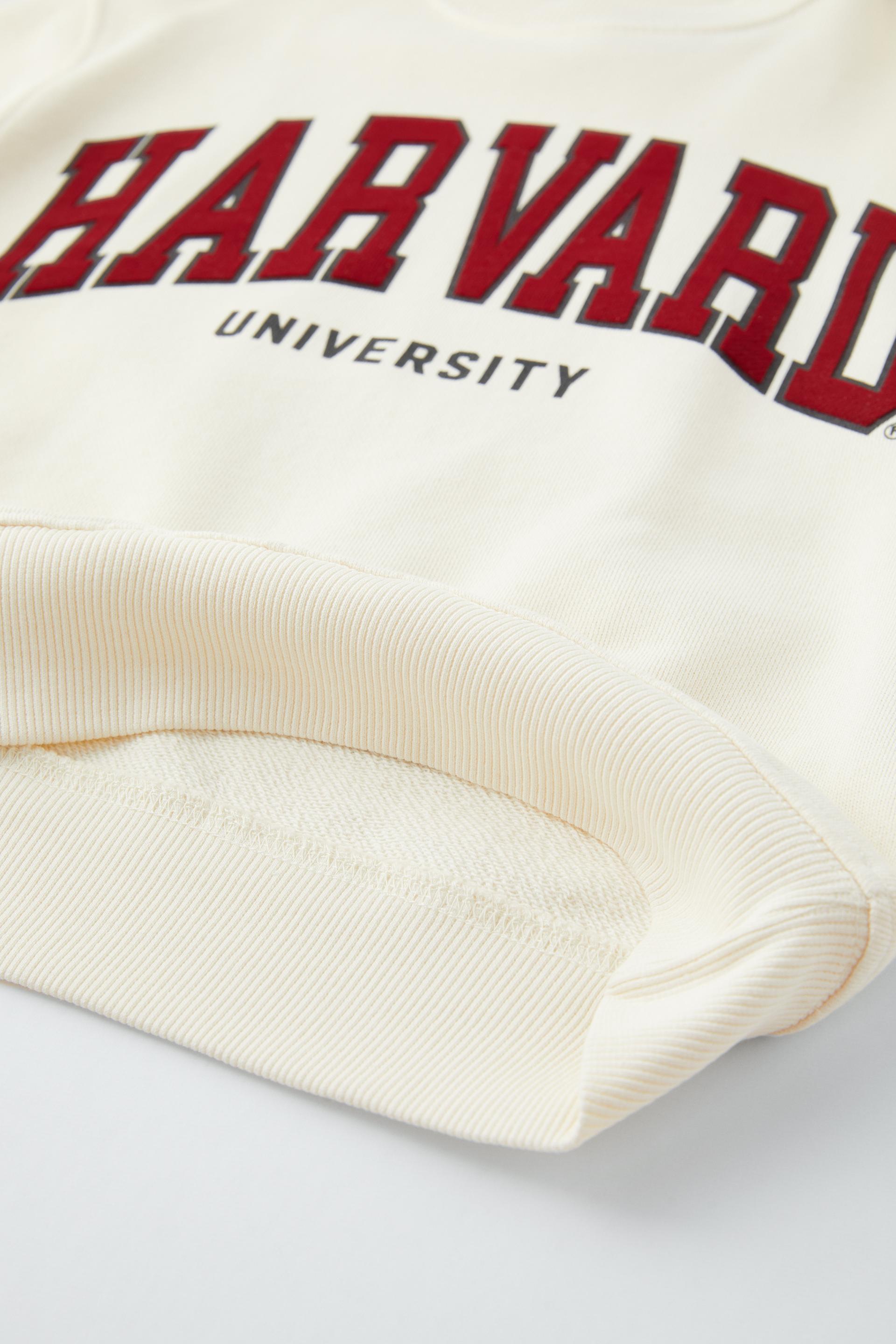 Harvard jumper zara Clearance