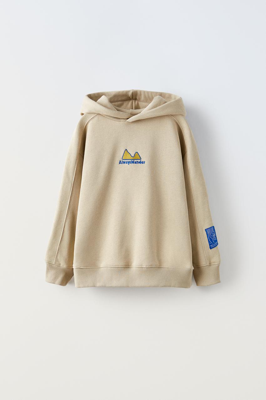 Embroidered sweatshirt zara Clearance