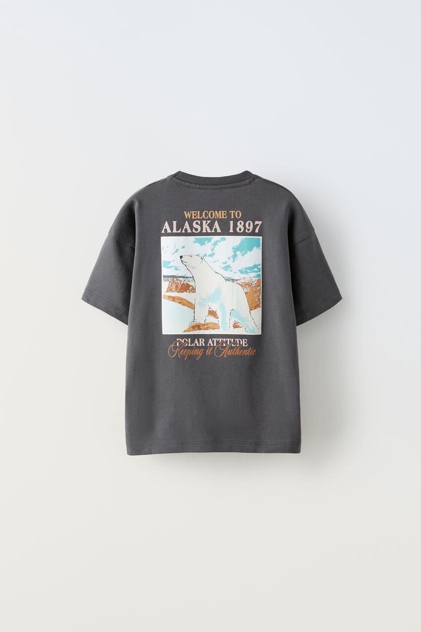 Zara Mountain Print T-Shirt