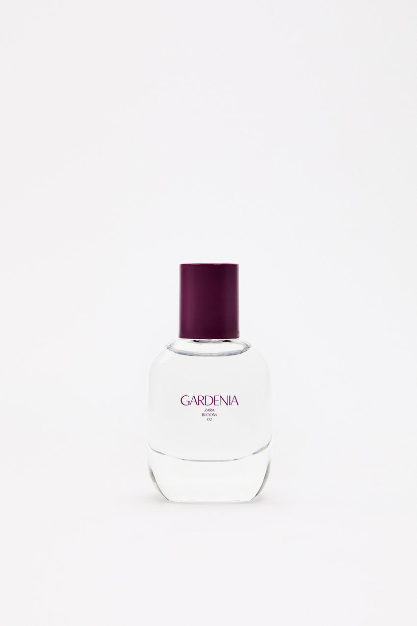 Zara gardenia perfume notes Clearance