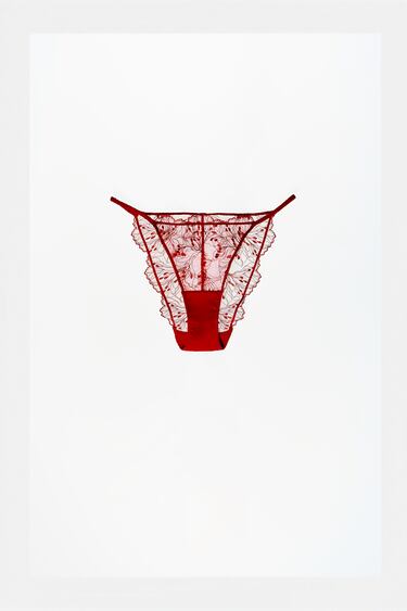 Image 0 of EMBROIDERED BRIEFS from Zara