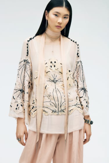 Image 0 of EMBROIDERED BLOUSE LIMITED EDITION from Zara