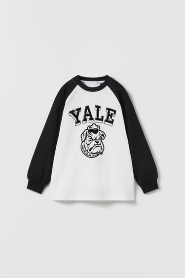 Image 0 of YALE™ UNIVERSITY CONTRAST FLOCKED T-SHIRT WITH RAGLAN SLEEVES from Zara