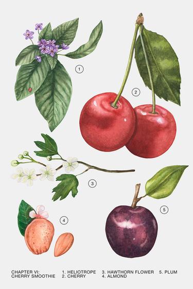 CHERRY SMOOTHIE 30ML (1.0 FL. OZ). - TINTED LEATHER de Zara