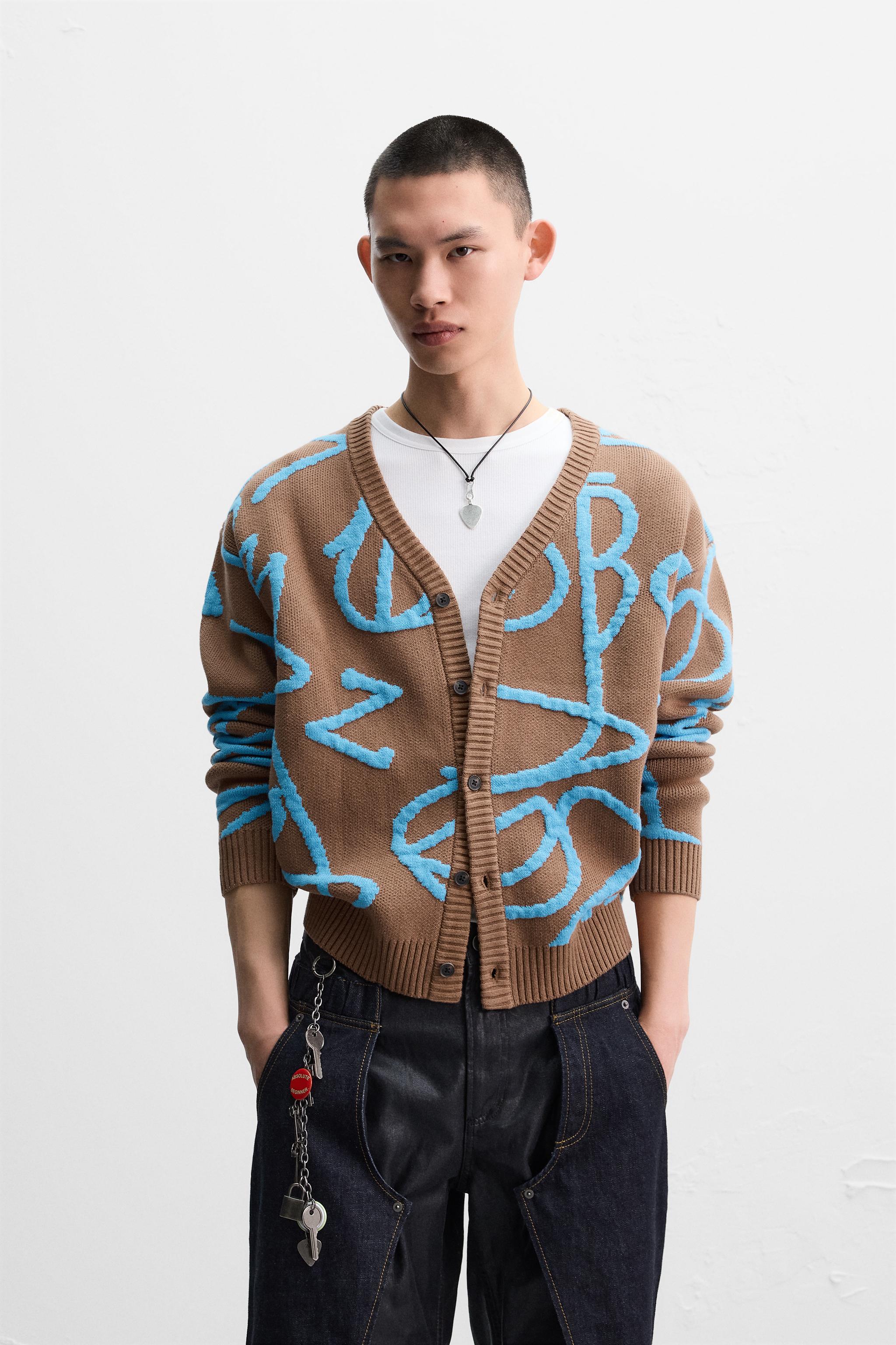 스트라이프 자카드 가디건 ANDERSSON BELL | ZARA | 페칭 FETCHING