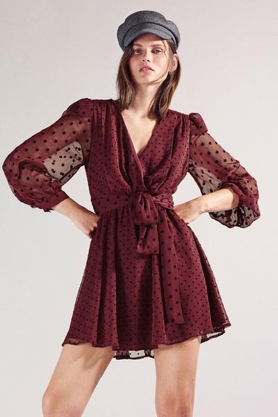 Dotted mesh mini dress