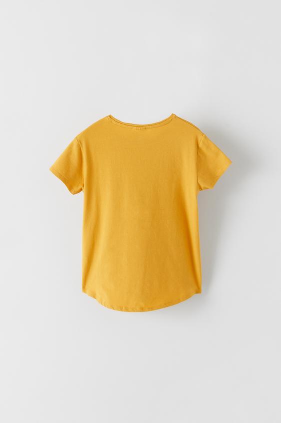 EMBROIDERED T SHIRT ZARA Indonesia EMBROIDERED T SHIRT ZARA Indonesia