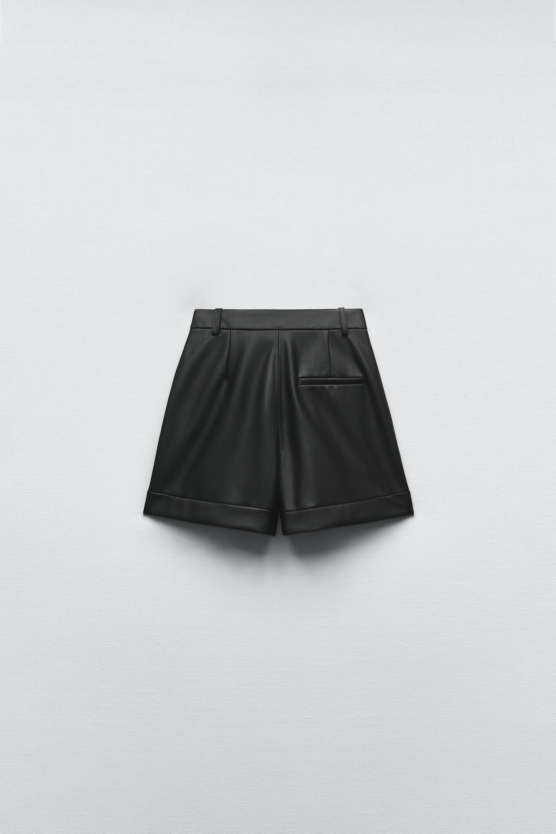 Zara Pleated Faux Leather Skirt | lupon.gov.ph
